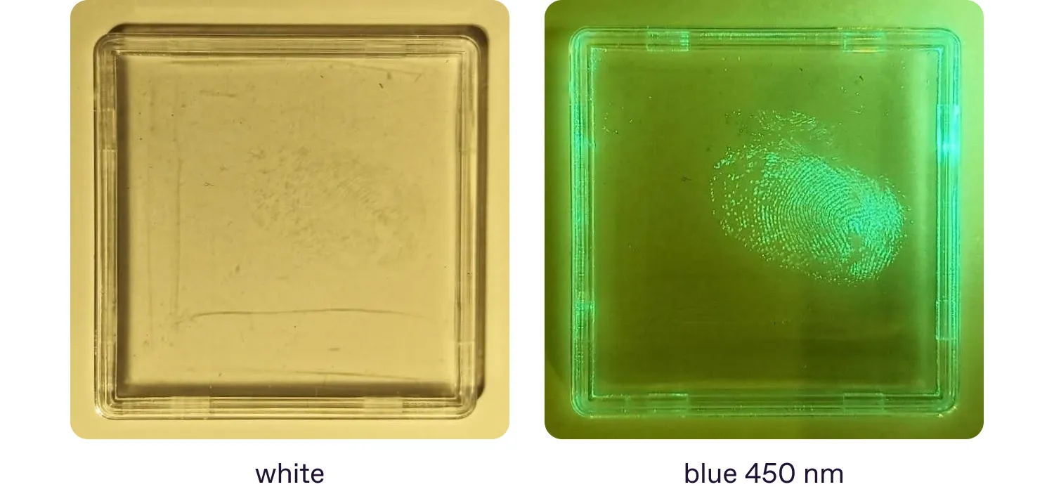 A fingerprint with a luminophore in the blue spectral range